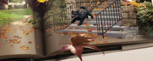 Library Lovers Mysteries by Jenn McKinlay