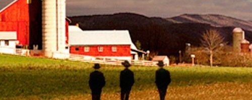 Amish-Country Mysteries by PL Gaus