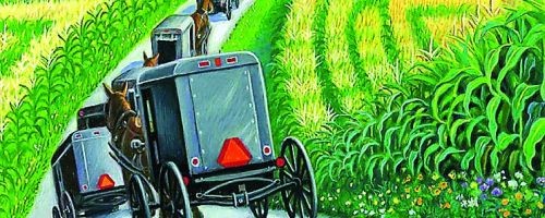 Amish Mysteries by Laura Bradford